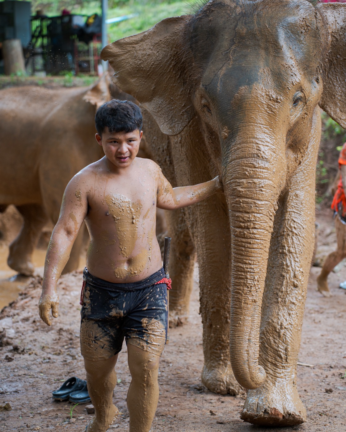 Kerchor Elephant Sanctuary photography