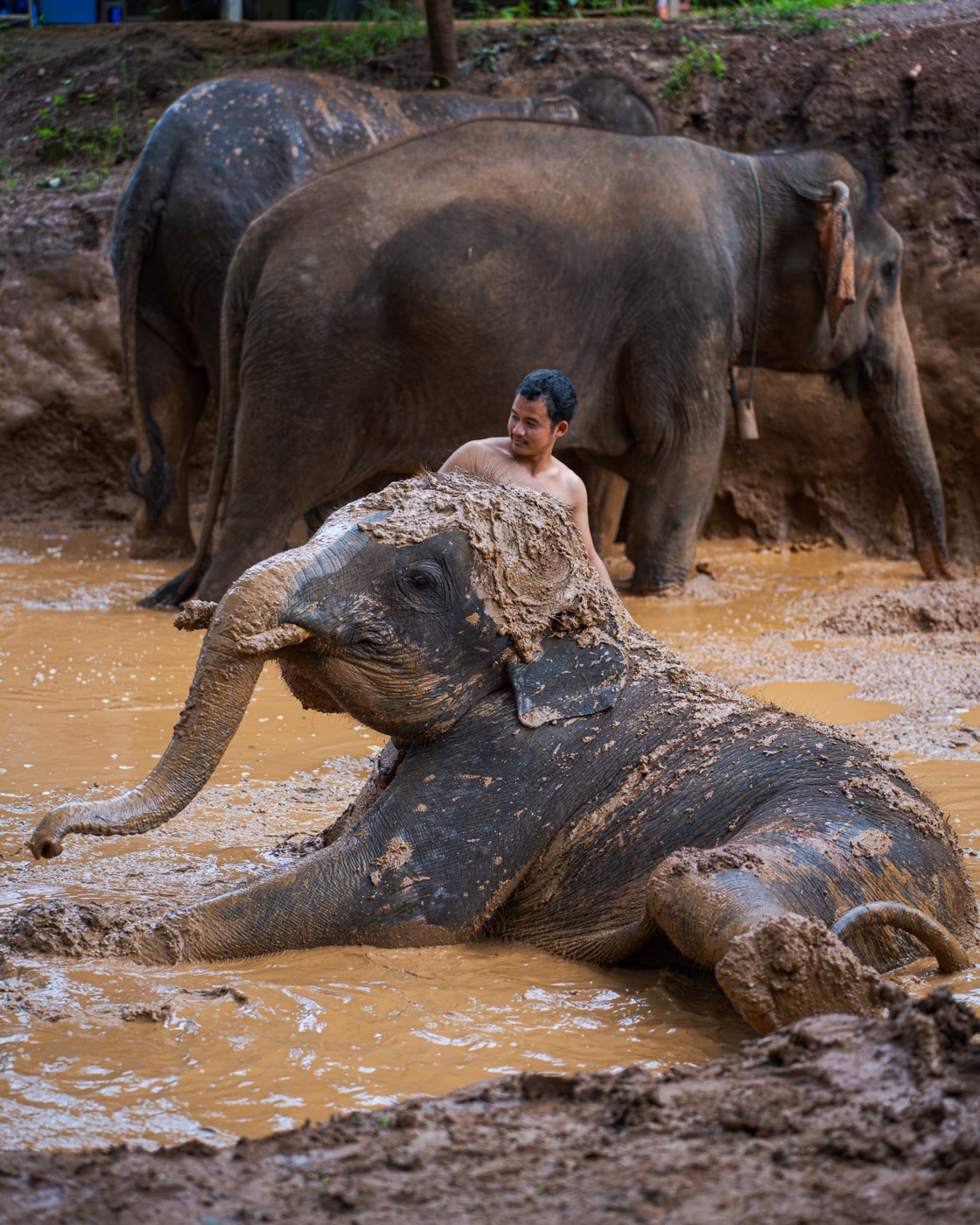 Kerchor Elephant Sanctuary photography