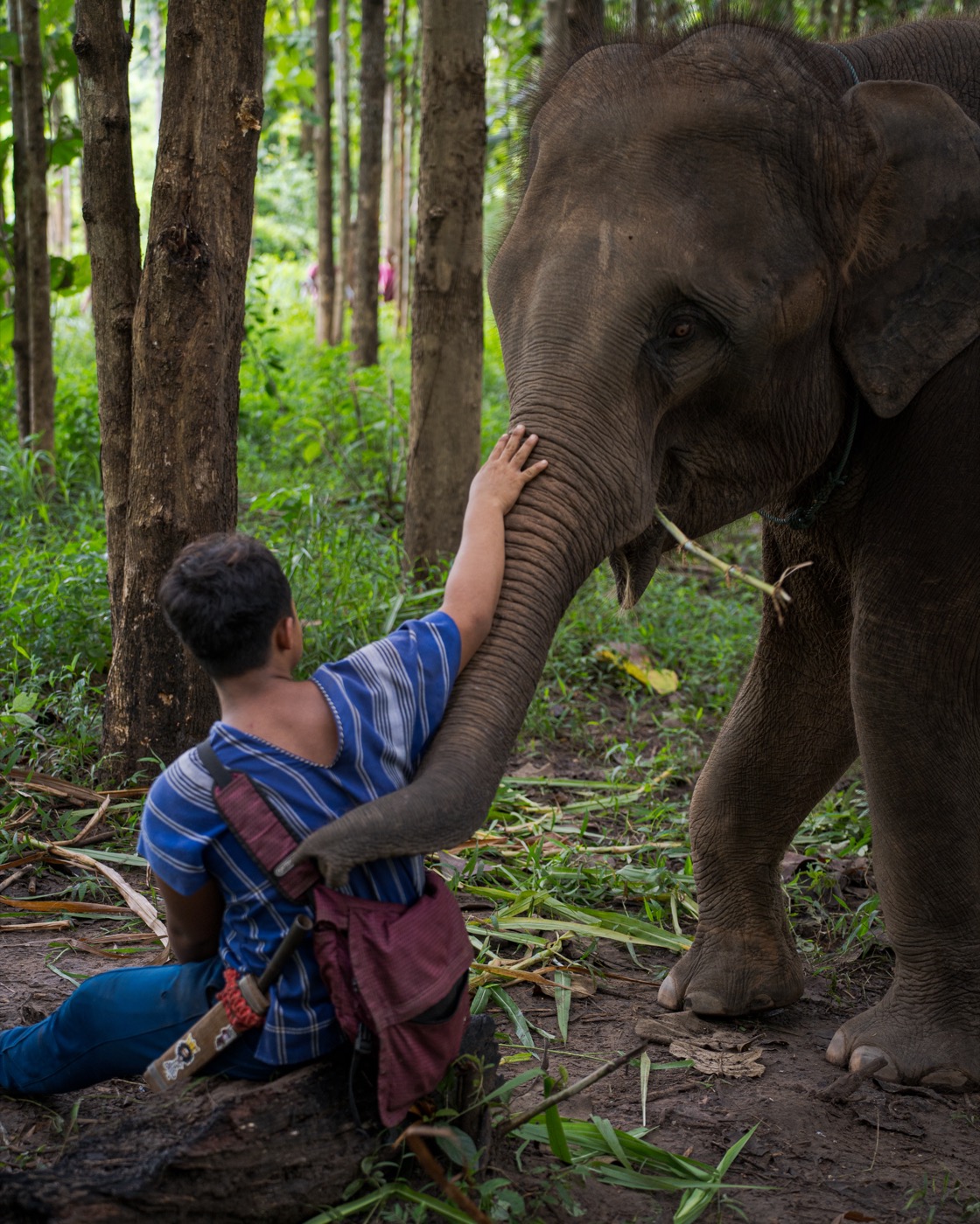 Kerchor Elephant Sanctuary photography